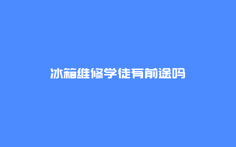 冰箱维修学徒有前途吗