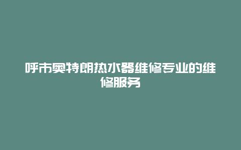 呼市奥特朗热水器维修专业的维修服务