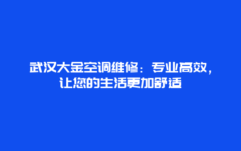 武汉大金空调维修：专业高效，让您的生活更加舒适