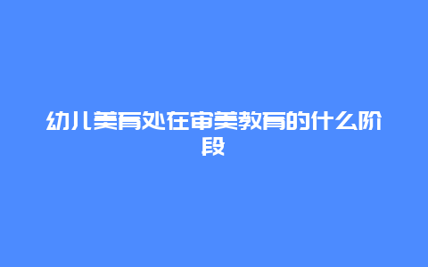 幼儿美育处在审美教育的什么阶段