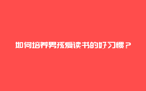 如何培养男孩爱读书的好习惯？