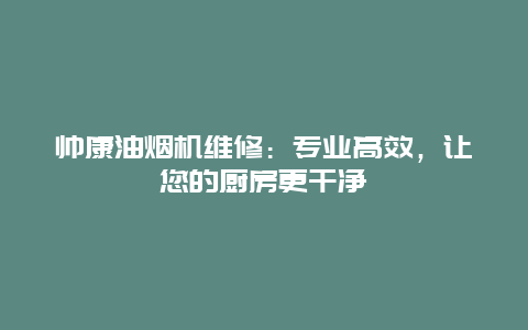 帅康油烟机维修：专业高效，让您的厨房更干净