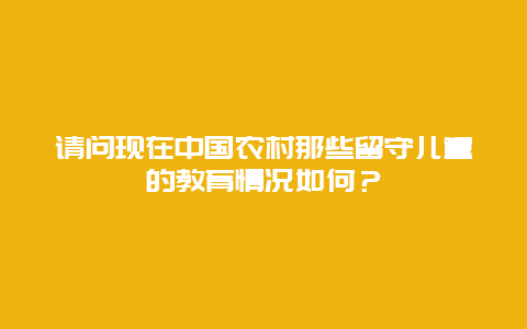 请问现在中国农村那些留守儿童的教育情况如何？