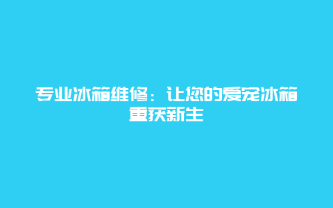 专业冰箱维修：让您的爱宠冰箱重获新生