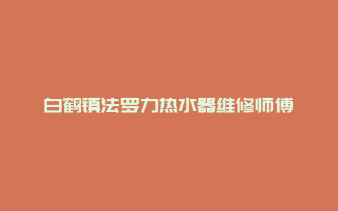 白鹤镇法罗力热水器维修师傅