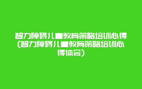 智力障碍儿童教育策略培训心得(智力障碍儿童教育策略培训心得体会)