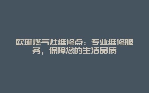 欧琳燃气灶维修点：专业维修服务，保障您的生活品质