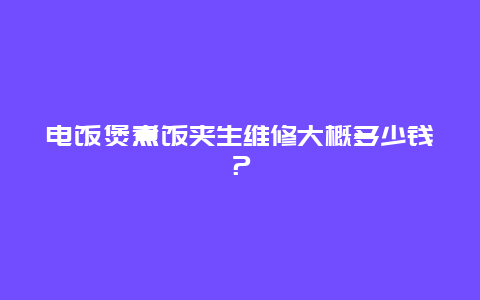 电饭煲煮饭夹生维修大概多少钱？