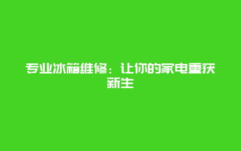 专业冰箱维修：让你的家电重获新生