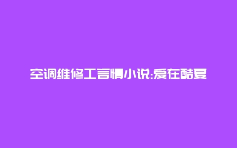 空调维修工言情小说:爱在酷夏