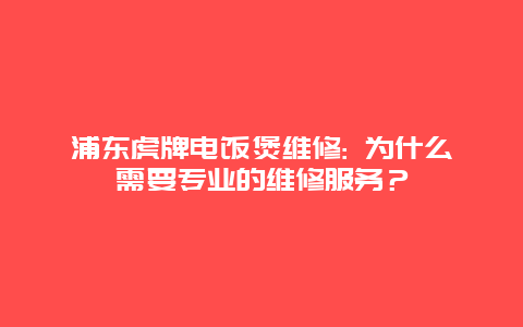 浦东虎牌电饭煲维修: 为什么需要专业的维修服务？