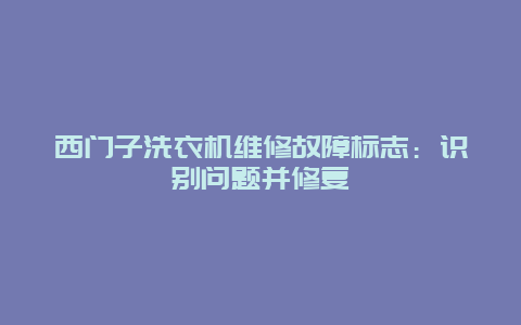 西门子洗衣机维修故障标志：识别问题并修复