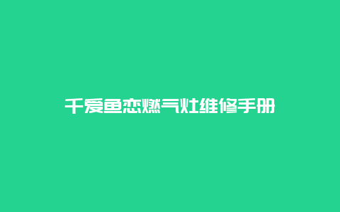 千爱鱼恋燃气灶维修手册