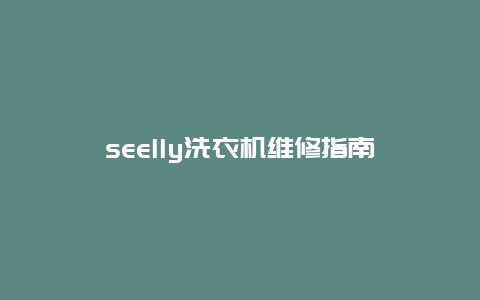 seelly洗衣机维修指南