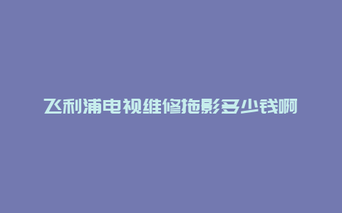 飞利浦电视维修拖影多少钱啊