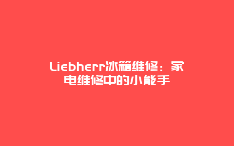 Liebherr冰箱维修：家电维修中的小能手