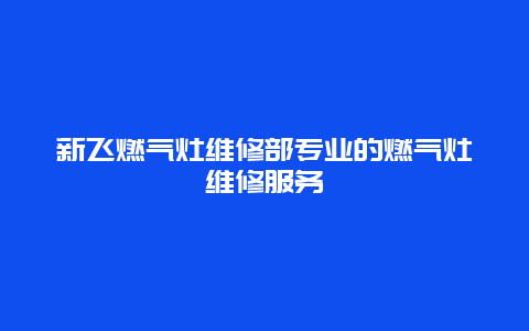 新飞燃气灶维修部专业的燃气灶维修服务