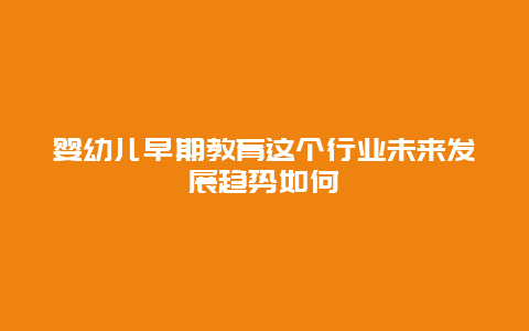 婴幼儿早期教育这个行业未来发展趋势如何_http://www.365jiazheng.com_儿童教育_第1张