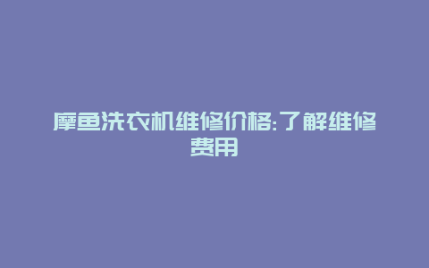 摩鱼洗衣机维修价格:了解维修费用