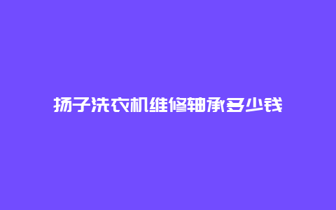 扬子洗衣机维修轴承多少钱