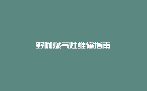 野咖燃气灶维修指南