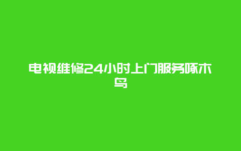 电视维修24小时上门服务啄木鸟