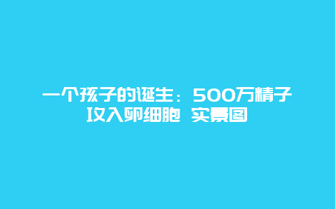 一个孩子的诞生：500万精子攻入卵细胞 实景图