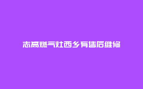 志高燃气灶西乡有售后维修