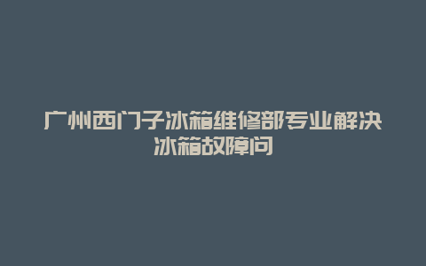 广州西门子冰箱维修部专业解决冰箱故障问