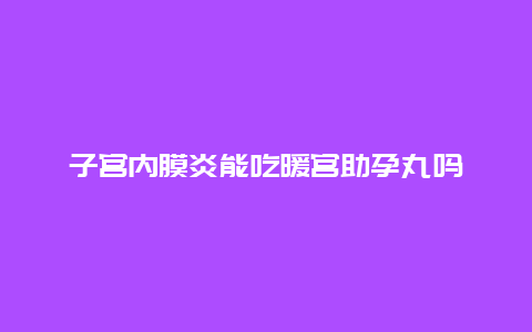 子宫内膜炎能吃暖宫助孕丸吗