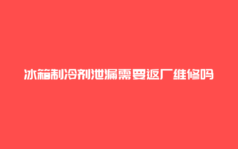 冰箱制冷剂泄漏需要返厂维修吗