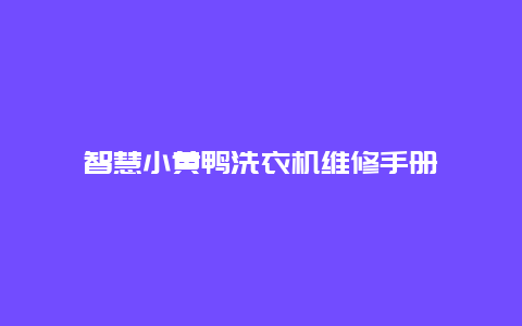 智慧小黄鸭洗衣机维修手册