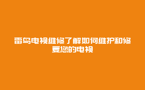 雷鸟电视维修了解如何维护和修复您的电视