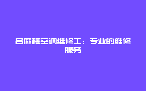 吕麻梅空调维修工：专业的维修服务