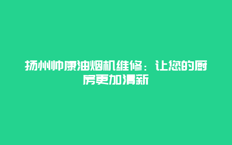 扬州帅康油烟机维修：让您的厨房更加清新