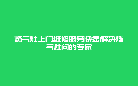 燃气灶上门维修服务快速解决燃气灶问的专家