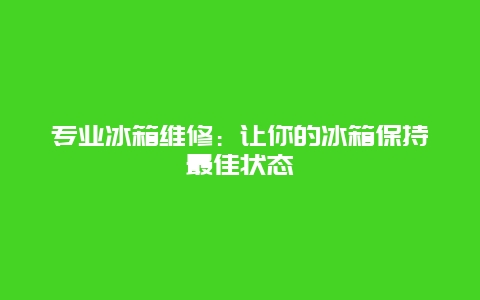 专业冰箱维修：让你的冰箱保持最佳状态