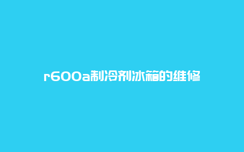 r600a制冷剂冰箱的维修