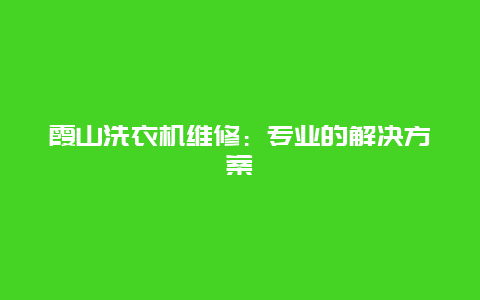 霞山洗衣机维修：专业的解决方案