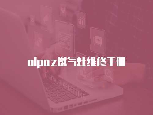 olpaz燃气灶维修手册