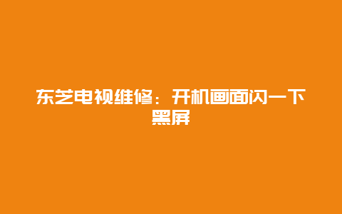 东芝电视维修：开机画面闪一下黑屏