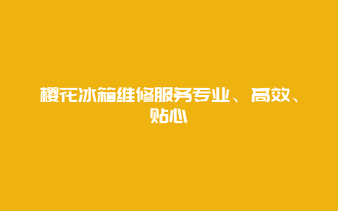 樱花冰箱维修服务专业、高效、贴心