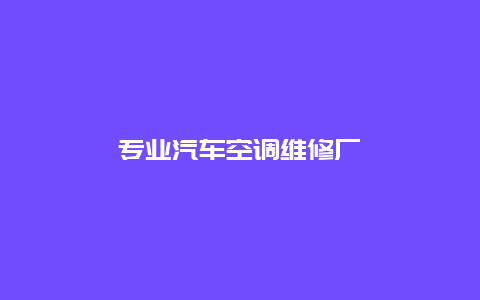 专业汽车空调维修厂