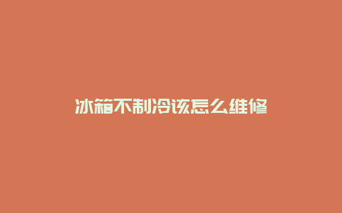 冰箱不制冷该怎么维修