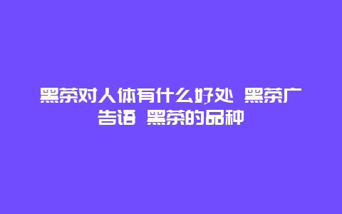 黑茶对人体有什么好处 黑茶广告语 黑茶的品种