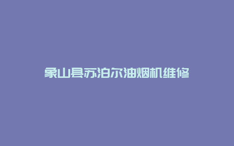 象山县苏泊尔油烟机维修